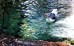IMG_68211.JPG
