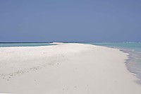 IMG_6855_1.jpg