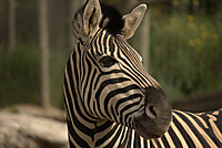 IMG_68741.jpg