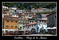 IMG_70214.jpg