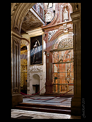 IMG_70942.JPG
