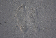 IMG_71251.jpg