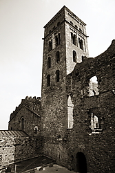 IMG_71862.JPG