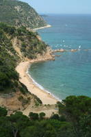 IMG_7261_3_1_3_1_1_2_1.JPG