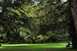 IMG_75601.JPG