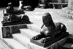 IMG_75642.JPG