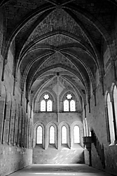 IMG_76431.JPG