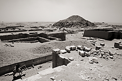 IMG_79624.JPG