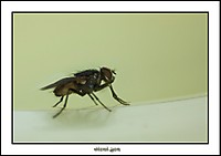 IMG_8021.jpg