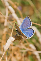 IMG_8061.jpg