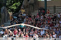 IMG_8122.jpg