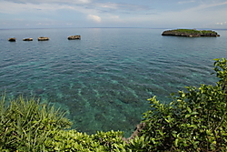 IMG_81551.JPG