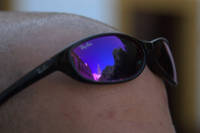 IMG_8256.jpg