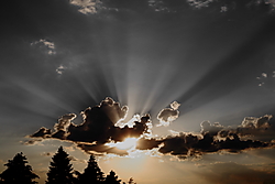 IMG_8285a.JPG