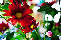 IMG_8553.jpg