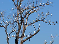 IMG_8607-B.JPG