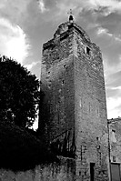 IMG_8609.jpg