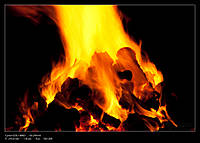 IMG_8656.jpg