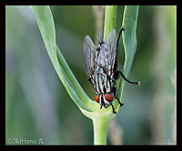 IMG_8692-2.jpg