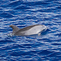 IMG_87532.jpg