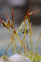 IMG_8885.JPG