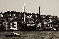 IMG_89632.JPG