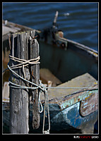 IMG_90461.jpg