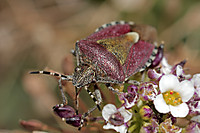 IMG_9153.jpg