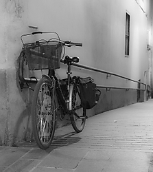 IMG_9306canonistas1.jpg