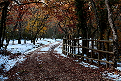 IMG_96241.JPG