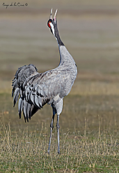 IMG_9714W.jpg