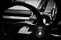 IMG_9874.JPG