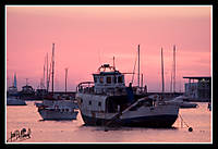 Ibiza_003.jpg