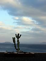 Imagen_183.jpg