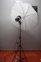 JMO6881_Large_.JPG