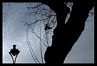 La_Cordobesa_12_G14.jpg