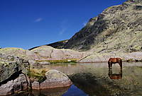 Laguna_Grande_Circo_de_Gredos.jpg