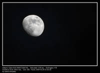 Luna1.jpg