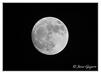Luna_14.jpg