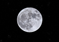 Luna_27129.jpg