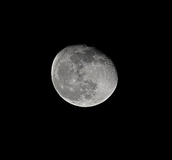 Luna_Web-Recorte.jpg