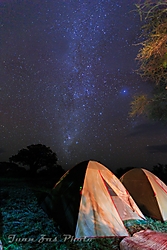 M7A0455_s.jpg