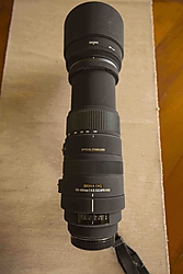 MGL7785.jpg