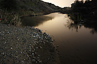 MG_01803.jpg