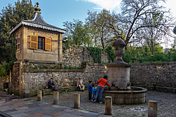 MG_0377-2.jpg