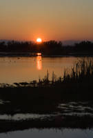MG_0387.jpg