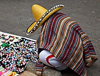 MG_04132.jpg