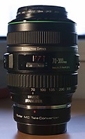 MG_04881.JPG