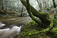 MG_1073_como_objeto_inteligente-1.jpg