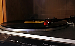 MG_15854.JPG